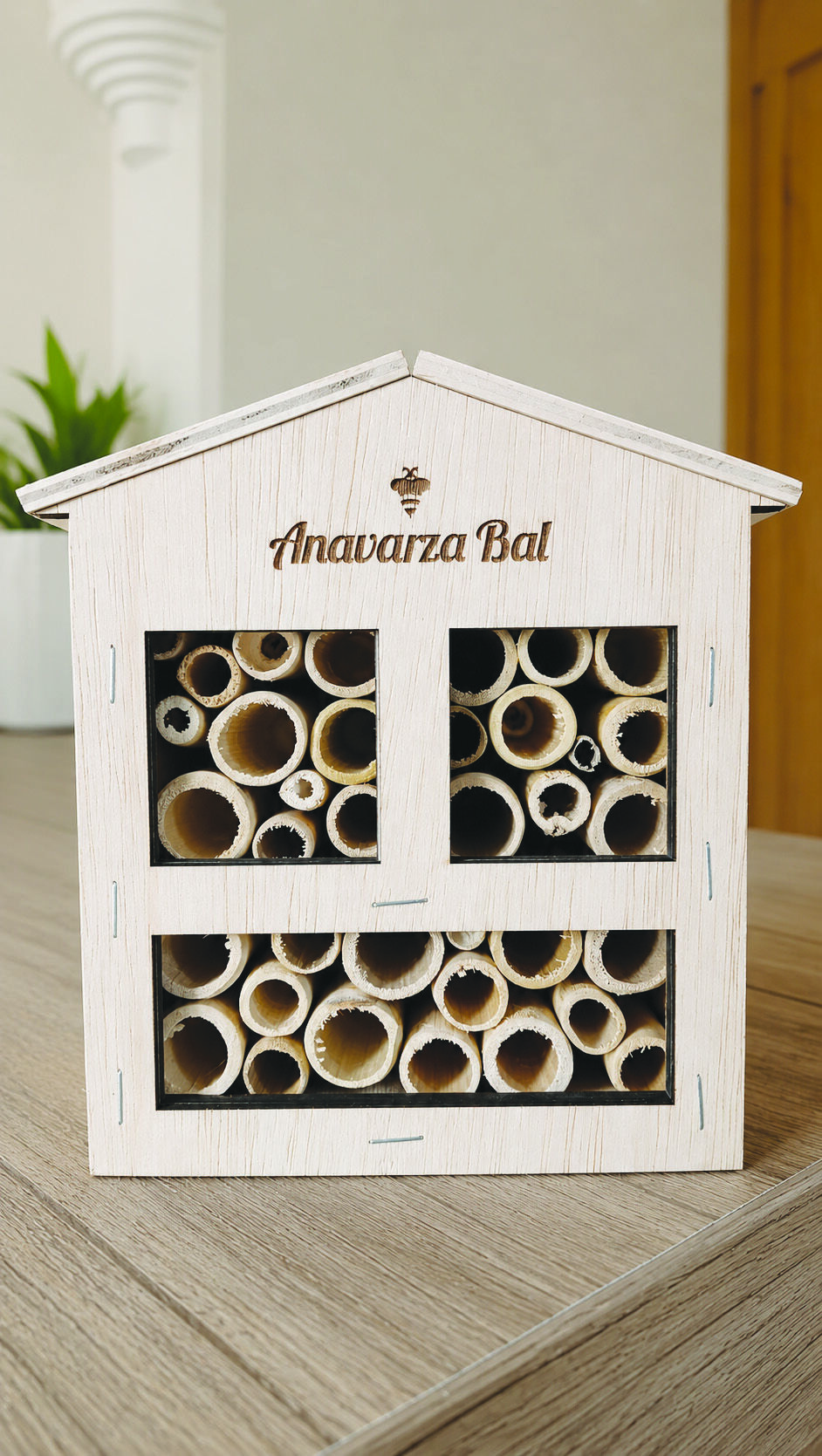 Anavarza Bal 1
