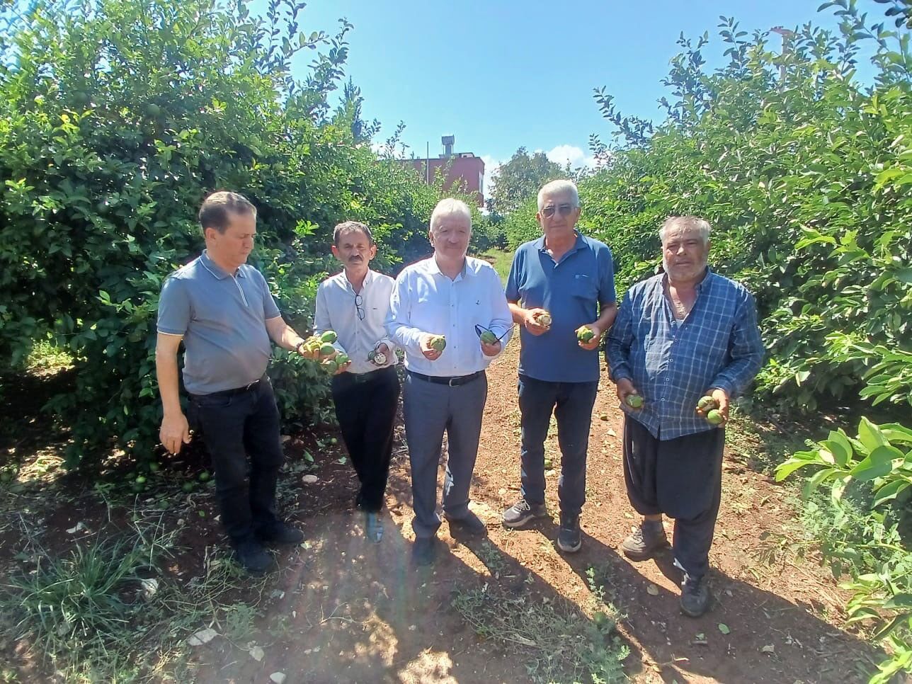 Yüreğir’de Dolu Felaketi: 35 Bin Dönüm Tarım Alanı Zarar Gördü