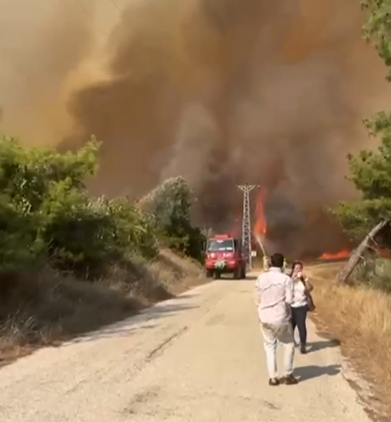Karaisalı’da Orman Yangını: Ekipler Alevlerle Mücadele Ediyor