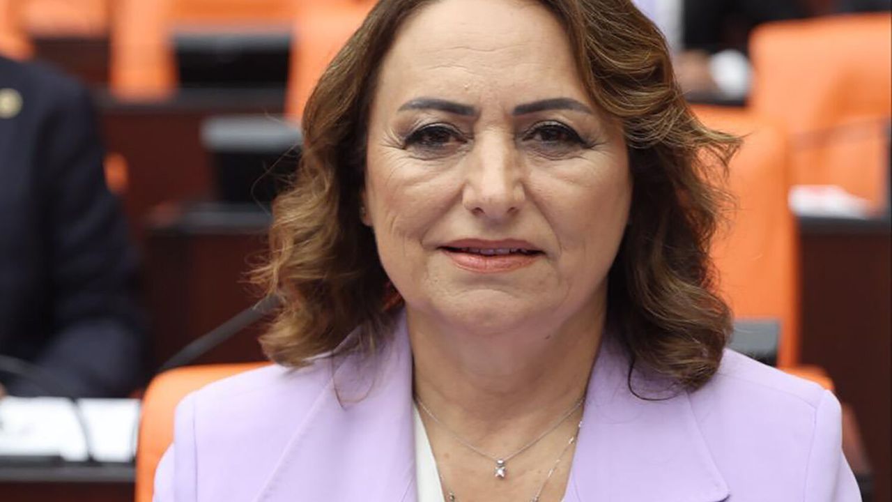 CHP'li Şevkin'den TBMM'de Adana İçin "Bireysel Silahlanma" Uyarısı