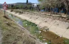 Temizlenmeyen Kanallar Adana'yı Büyük Bir Sivrisinek İstilasına Hazırlıyor