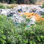 Adana’da Plastik Atık Alarmı