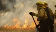 California Tarihinin En Büyük 6. Orman Yangını: 373 Bin Dönümden Fazla Alan Kül Oldu