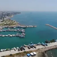 Özel