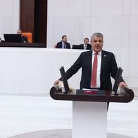 Siyaset