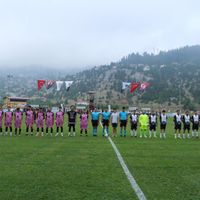 Özel