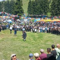 Özel