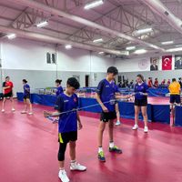 Spor