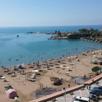 Özel