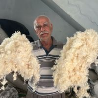 Yaşam