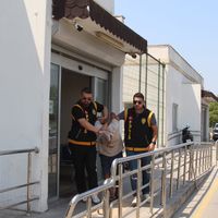 Asayiş