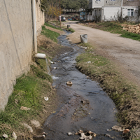 Özel