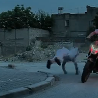 Özel