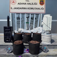 Asayiş