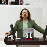 Siyaset