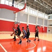 Spor
