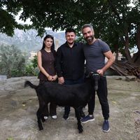 Yaşam