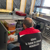 Sağlık