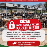 Asayiş