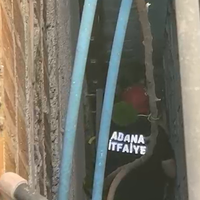Asayiş