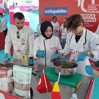 Eğitim