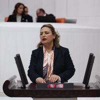 Özel