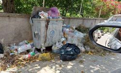 Akçatekir’in “Pis” yüzü