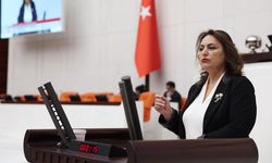 CHP’li Şevkin’den Tarımda Kriz Uyarısı: Üretici Destek Bekliyor