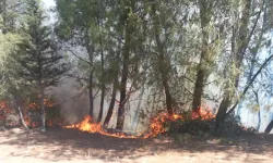 Adana'da Korkutan Orman Yangını Kontrol Altına Alındı!