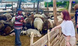 Adana’da Kurban Pazarı Başvuruları Başladı! Yerler Sınırlı