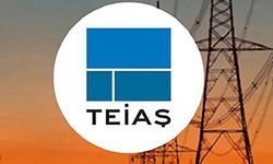 YENİŞEHİTLİK TM OG FİDER AKTARIM İŞİ