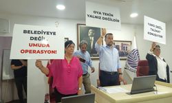 Seyhan Belediye Meclisinde Operasyon Tartışması