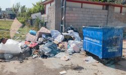 Başkan Gitti, Seyhan Çöpe Teslim Oldu
