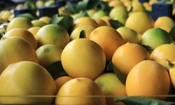 Çukurova'nın Bereketi Sınırları Aştı: Adana'dan İhracatta Tarihi Rekor!