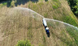 Tarımda Yeni Dönem! Bakanlıktan Çiftçiyi İlgilendiren Önemli Karar