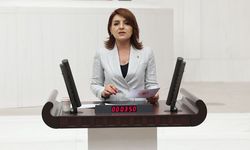 "Büyüyen Ekonomi Değil, Borç!" CHP'li Kış'tan TÜİK Rakamlarına Tepki
