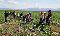 Bakanlıktan 1.7 Milyon TL Ödüllü Fotoğraf Yarışması!