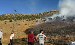 Adana'daki Orman Yangını Kontrol Altına Alındı