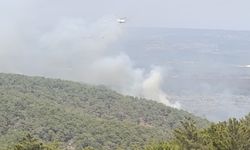 Mersin’de Orman Yangınına Neden Olan 4 Kişi Tutuklandı