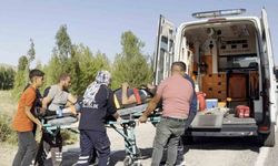 Virajı alamayan kamyonet takla attı: 2 yaralı