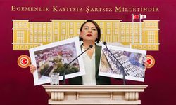 Şevkin'den Adana’nın İlçeleri İçin Acil Çağrı: "Adana’yı Ertelemekten Vazgeçin!"