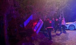 Otomobilin Uçuruma Düşmesini Ağaçlar Engelledi