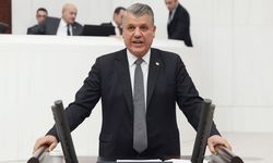 Ayhan Barut'tan Orman Yangınları İsyanı "İktidar Ciğerlerimiz Yanarken Seyrediyor!"