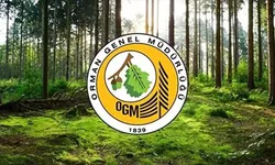 İŞ SAĞLIĞI VE GÜVENLİĞİ HİZMETİ ALINACAKTIR