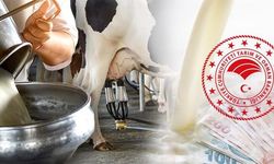 Süt Üreticilerine Müjde! Çiğ Süt Desteğinde Yeni Dönem