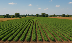 Adana da listede mi? İşte arsa sahibi olanların en çok para kazandığı yerler