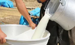 Süt Fiyatları Neden Artıyor? Üretimdeki Büyük Düşüş