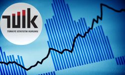 Şubat Ayı Verileri Geldi: İşte Ekonominin En Çok Kazanan ve Kaybedenleri