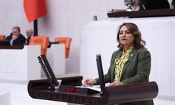 CHP’li Şevkin’den Kozan İçin Afet Bölgesi Çağrısı