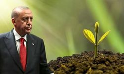 Sıfır Atık’ta Dev Kazanım: 90 Milyon Ton Atık Kurtarıldı